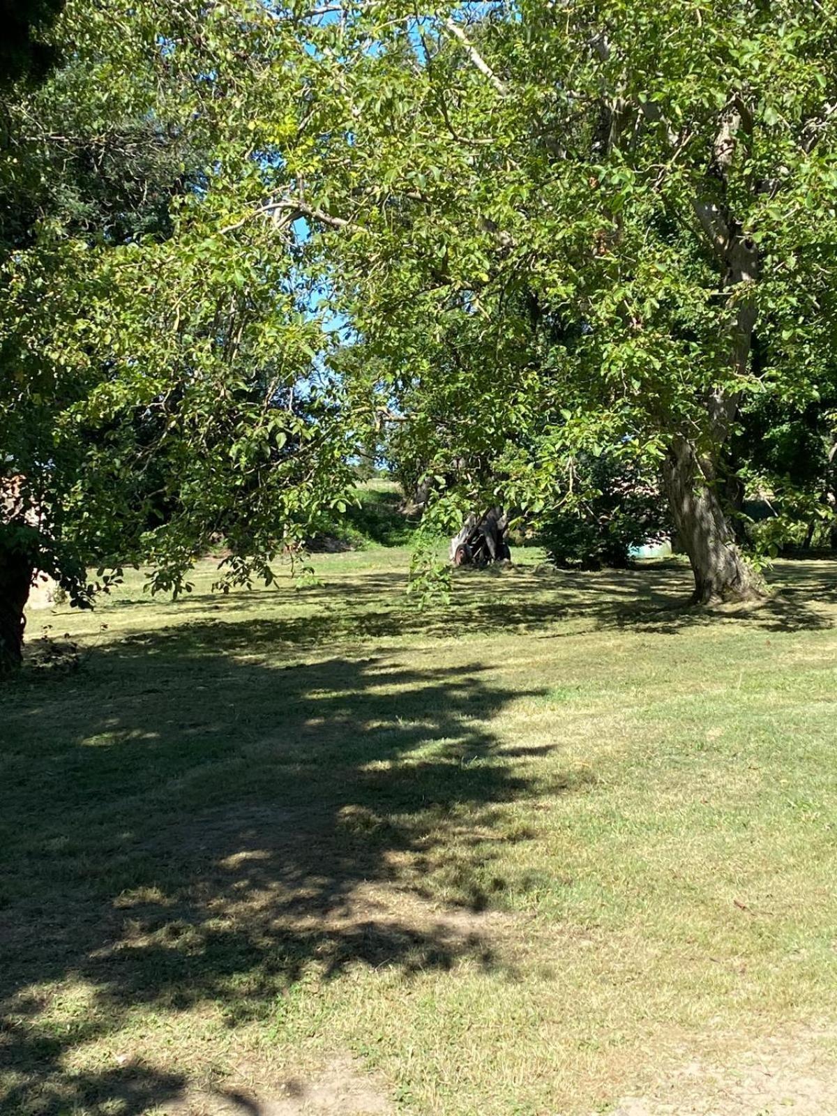 Les Anges Bleus Villa Chavannes-Sur-Reyssouze Екстериор снимка